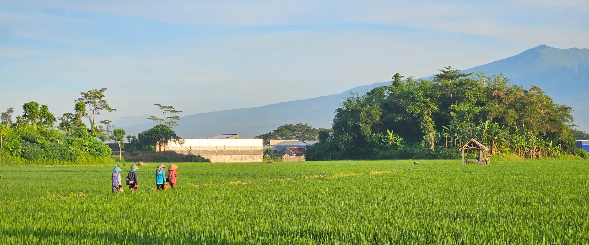 Indonesia_HariBesarNasionalMaret_2025_1920_800_page