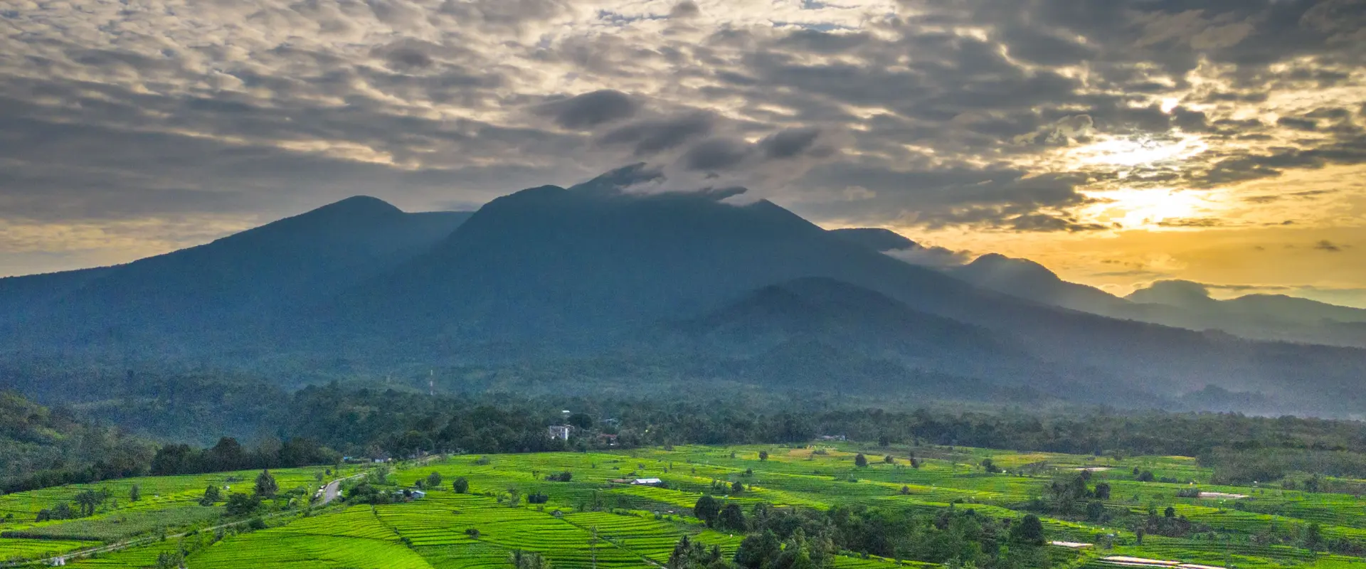 Indonesia_HariBesarInternasionalJuli_2025_1920_800_page